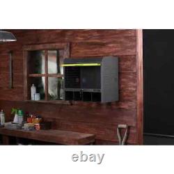Armoire de garage murale à 2 étagères en acier RYOBI en noir (17 po x 11 po x 19 po)